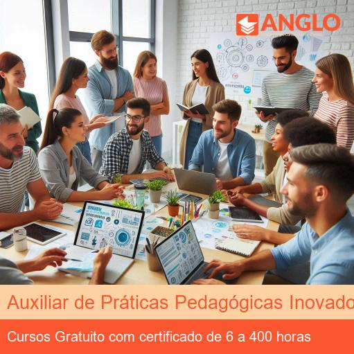 Auxiliar de Práticas Pedagógicas Inovadoras